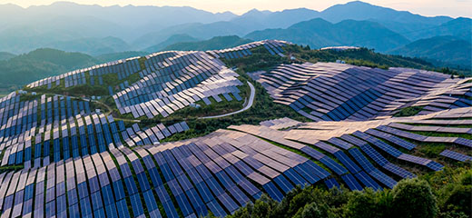 Solar panels covering a hillside with vegetation